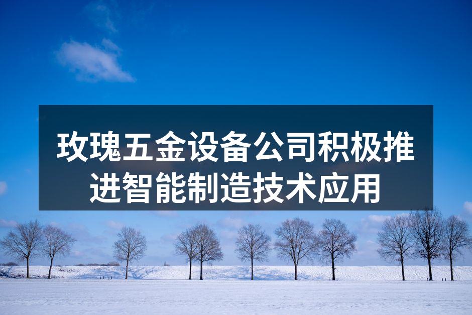 玫瑰公司新型智能生产线
