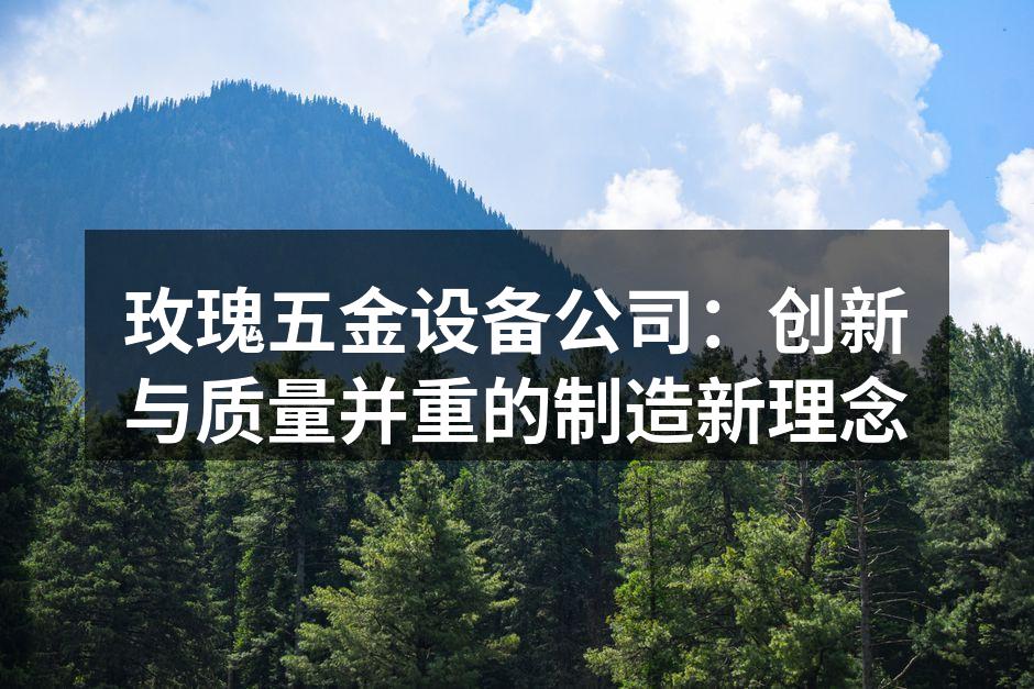 玫瑰五金设备公司：创新与质量并重的制造新理念